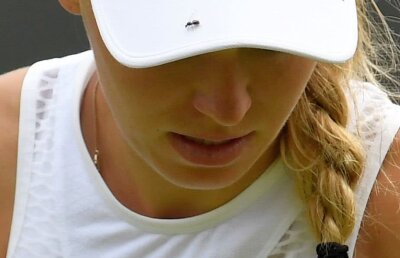 GALERIE FOTO Probleme la Wimbledon la meciul Wozniacki - Makarova » Daneza s-a enervat: "Nu vreau să înghit insecte!"