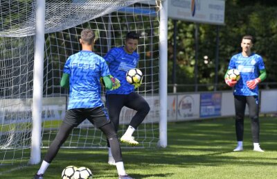 CORESPONDENȚĂ DIN OLANDA // Pufi în HD » FCSB a preluat o metodă de bază din Bundesliga