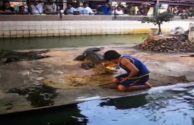 VIDEO Cele mai stupide lucruri făcute de om sunt aici! Vei râde copios!