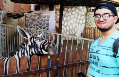 Farsă pe banii vizitatorilor la zoo » Măgar pictat în loc de zebră