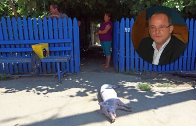 În instituția care trebuia să prevină pesta porcină ”se păzeau șpăgile luate din teritoriu cu pușca de vânătoare!” » Cine-i președintele Geronimo Brănescu