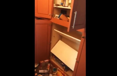 VIDEO Șocant! O femeie și fiica ei s-au întâlnit cu ursul în living