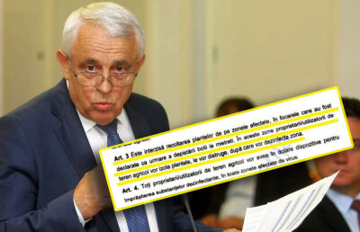 Ordinul semnat chiar de el însuși arată că ministrul Daea n-a spus adevărul la televiziuni când a negat distrugerea plantelor!