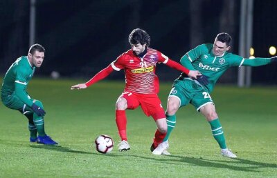 FC BOTOȘANI - LUDOGOREȚ 3-1 // FOTO FC Botoșani a triumfat în fața lui Ludogoreț! Claudiu Keșeru și Adi Popa au evoluat la bulgari