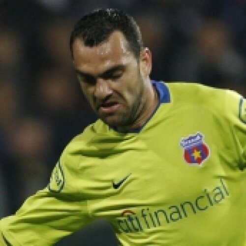 Mihaita Plesan, Plesan, Steaua II