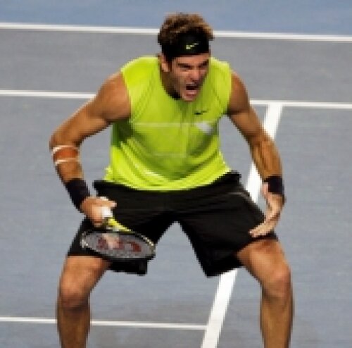 Juan Martin Del Potro, Del Potro, Australian Open