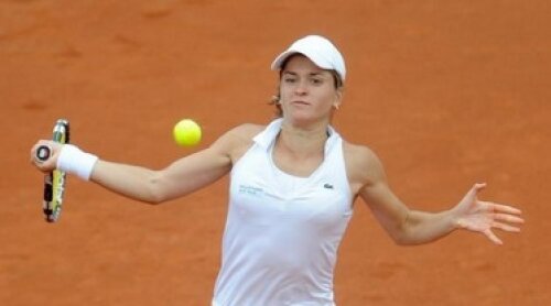 dulgheru