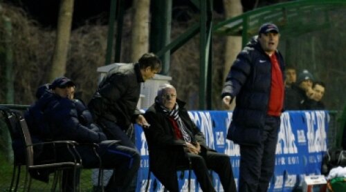 mircea radulescu