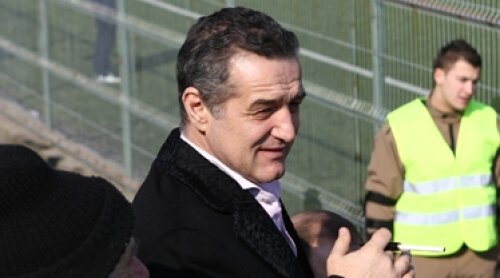 Gigi Becali, Becali, Steaua