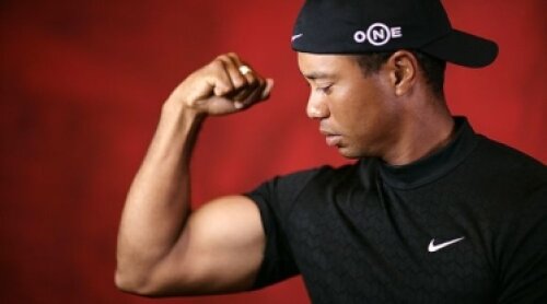 tiger woods