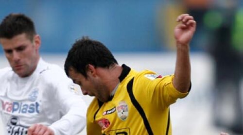 Dorin Goga, Goga, Poli Timisoara