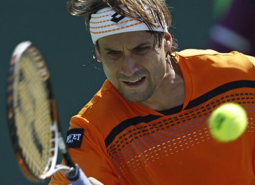 David Ferrer