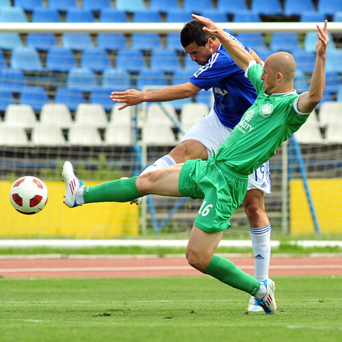 Alb-albaştrii au asalatat în permanenţă poarta ialomiţenilor Foto: Agerpres