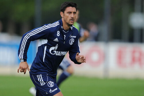 Ciprian Marica s-a treansferat în această săptămînă la Schalke Foto: schalke04.de