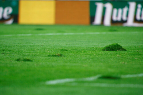 Gazonul de pe Național Arena la meciul cu Franța