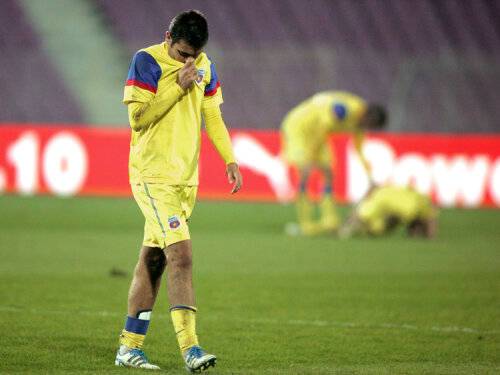 Timişoara nu i-a dat nici o şansă Stelei