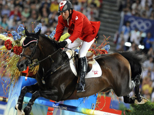 Calul campion olimpic Hickstead a căzut din picioare în competiţie şi a murit!