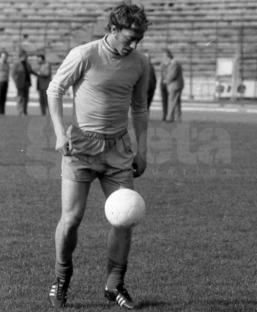 Nicolae Dobrin