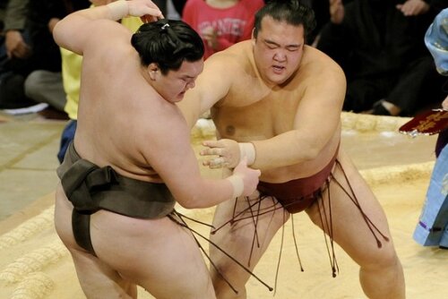 Meciurile între giganții de la sumo pot fi periculoase și pentru arbitri