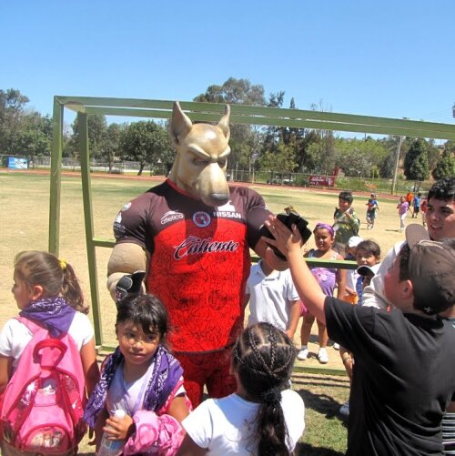 Mascota lui Tijuana participă la multe acțiuni organizate de club