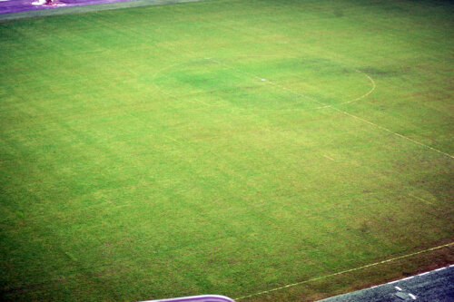 Aşa se prezenta iarba de pe Naţional Arena cu două zile înainte de meciul cu Ajax.