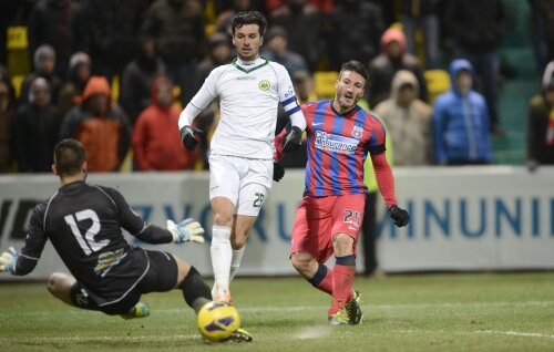 Piovaccari e golgeterul Stelei, cu 7 reușite în Liga 1 // Foto: Alex Nicodim
