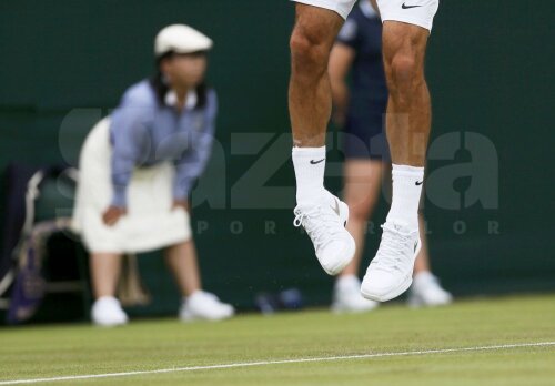 Iarba de la Wimbledon, foto: reuters