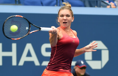 Simona Halep nu s-a regăsit în meciul de semifinale cu Flavia Pennetta