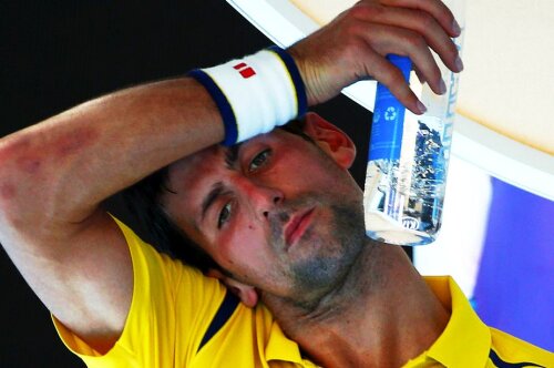 Novak Djokovici, foto: reuters