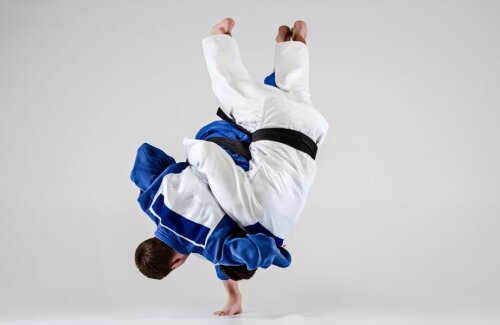 În timp ce sportivii se antrenau sau luptau în competiţii, foștii conducători ai FRJ batjocoreau finanţele federaţiei de judo // Foto: ThinkstockPhoto