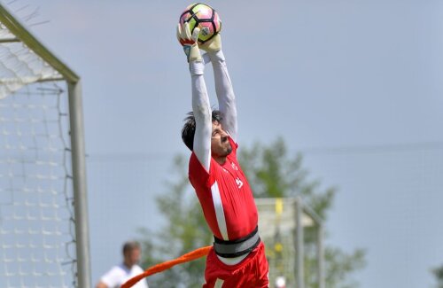 Penedo și-a prelungit, în vară, pe încă un an contractul cu roș-albii Foto: Alex Nicodim