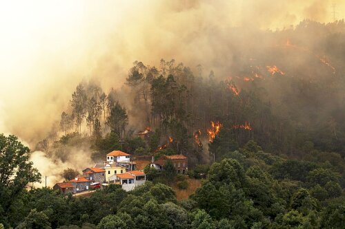 Tot în această vară, incendii de vegetație au avut loc și în Portugalia
Foto: Guliver/GettyImages