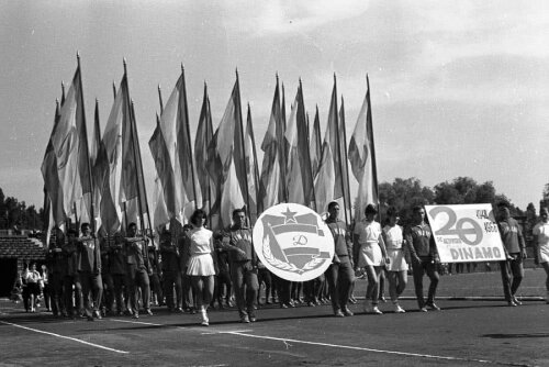 Dinamo București, în anii '50