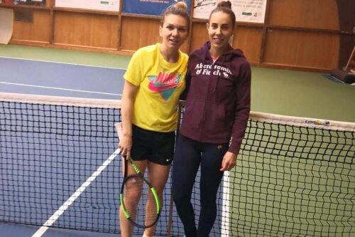 Simona Halep și Mihaela Buzărnescu sunt colege de echipă  la Fed Cup