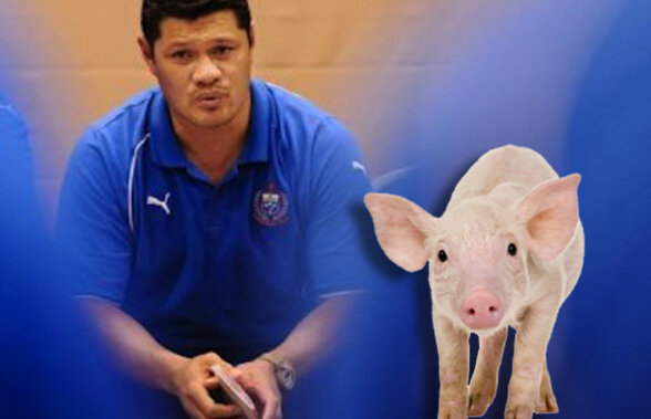 În Samoa nu merge oricum! Managerul echipei naţionale de rugby, amendat cu 100 de porci