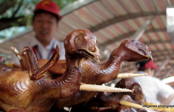 Supă de cap de şarpe, plămîni de porc şi strîngeri puternice de mînă » Ce îi aşteaptă pe Brandan&Co. în China :D