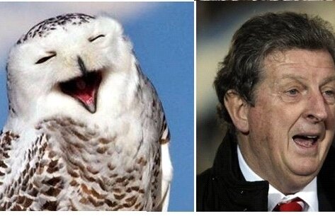 8 ipostaze care dovedesc că Roy Hodgson e o bufniţă reîncarnată :D