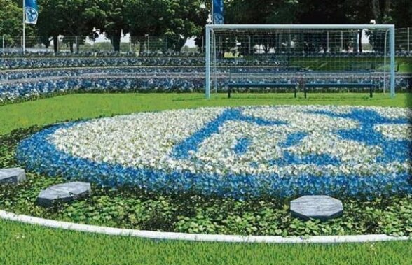 Cimitirul Schalke! » Alb-albaştri şi în viaţa de apoi