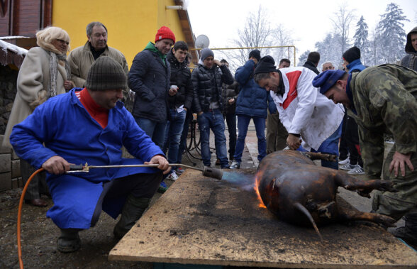 FOTO&VIDEO Şorici + lăutari! » Steliştii au sărbătorit în mod tradiţional victoria cu Astra