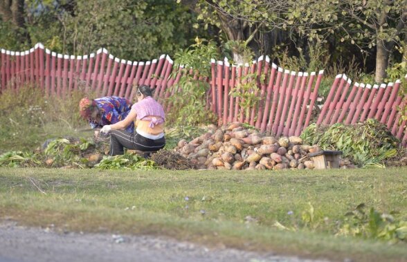 Reciclarea sfeclei :) » Trimisul Gazetei din Ucraina a descoperit sportul naţional din vestul ţării vecine: culesul şi vîndutul legumelor căzute din KAMAZ