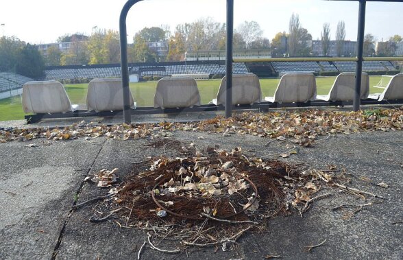 GALERIE FOTO 100 de ani de la înființarea Sportului Studențesc și 96 de la inaugurarea arenei din Regie! Imagini triste de pe stadionul pe care au scris istorie Hagi, Lucescu și Mircea Sandu