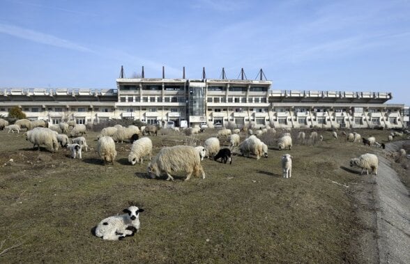 FOTOREPORTAJ + VIDEO » Deplorabil! Cum a ajuns stadionul din urbea lui Ceaușescu unde Dinamo pleca învinsă la finele anilor '80