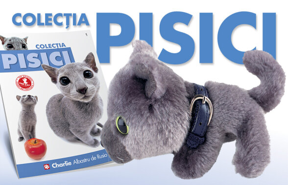 O nouă jucărie drăgălasă din Colecția Pisici de luni, 10 aprilie de la Gazeta Sporturilor!