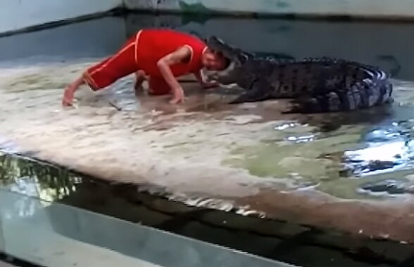 VIDEO Imagini uluitoare! Un bărbat a fost mușcat de cap de un crocodil