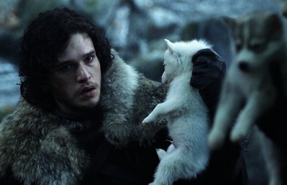 Peter Dinklage le cere fanilor Game of Thrones să nu mai cumpere câini husky