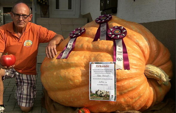 FOTO Concurs destinat dovlecilor » Cel mai mare dovleac din Germania are 700 kg!