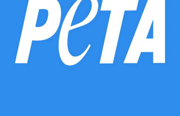 ONG-ul PETA a anunţat cine este personalitatea anului 2017. Iată cine este
