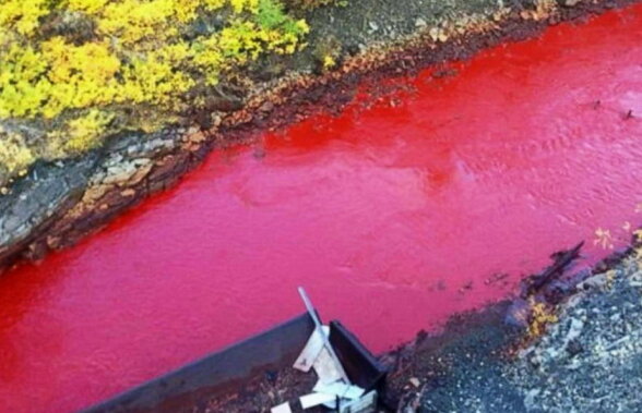 FOTO & VIDEO Uluitor! Un râu s-a înroșit exact ca sângele, însă nimeni nu a avut nicio explicație