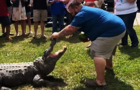 VIDEO Au anunţat sexul copilului cu ajutorul unui crocodil