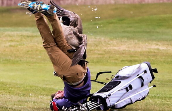 GALERIE FOTO Cele mai comice fotografii! Un gâscan a atacat un jucător de golf